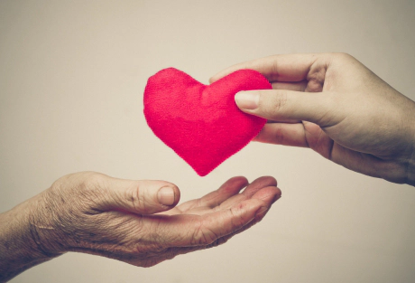 Coeur sur la main une main jeune donne un coussin en forme de coeur à une main plus âgée